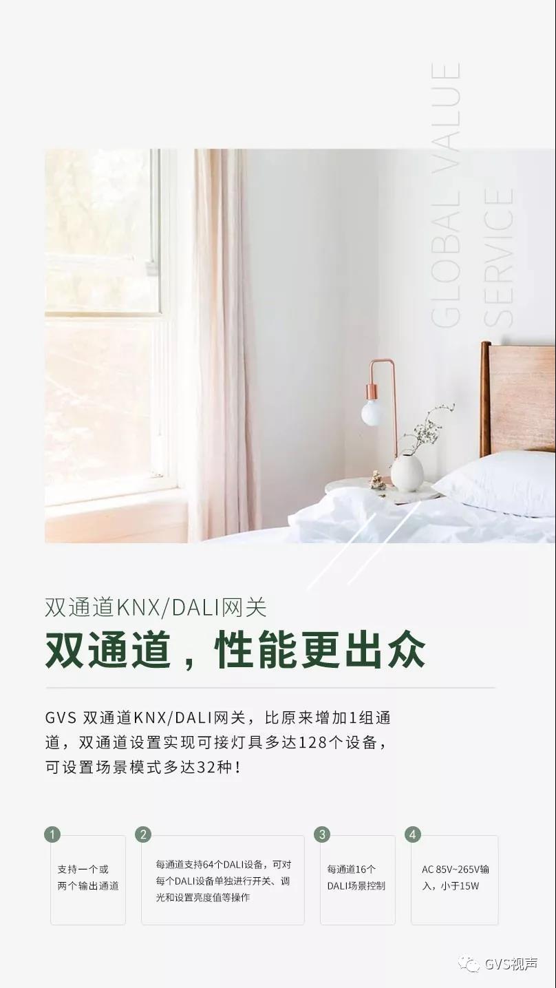 GVS 雙通道KNX/DALI網關