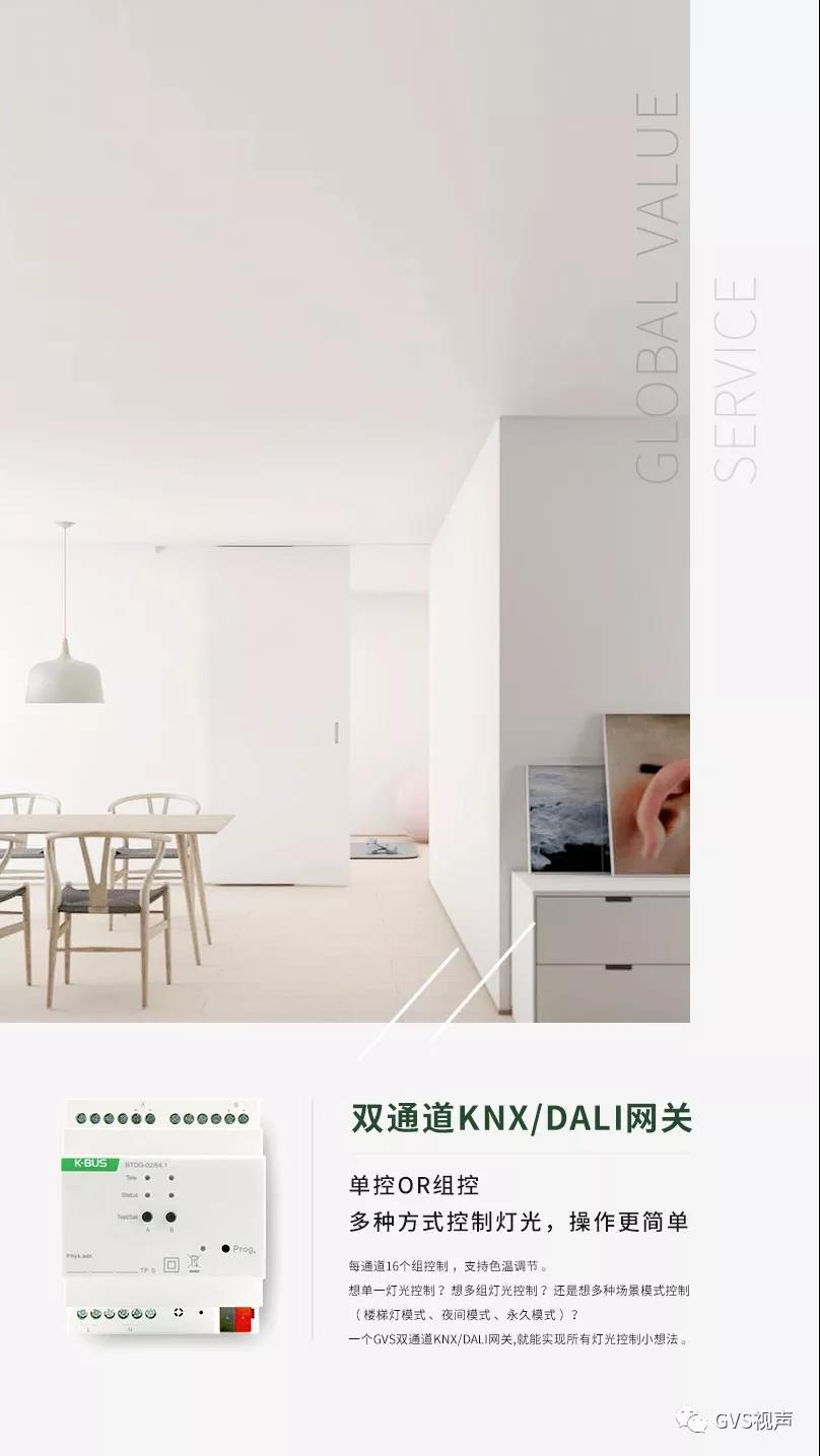GVS 雙通道KNX/DALI網關