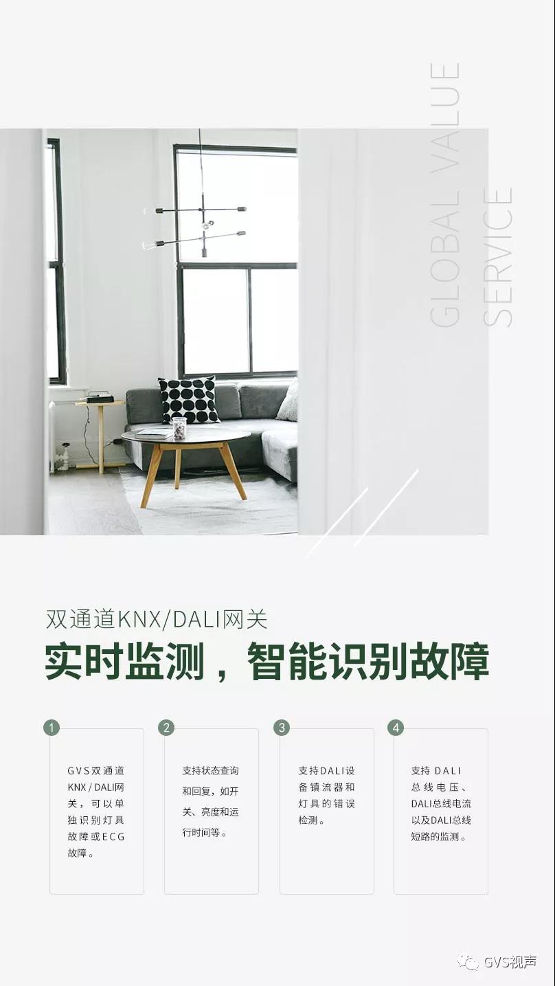 GVS 雙通道KNX/DALI網關